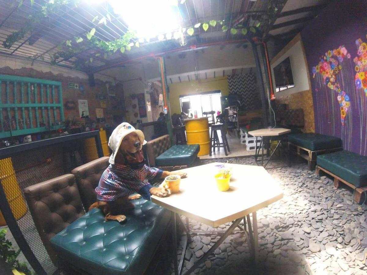 Panela Medellin Exterior photo