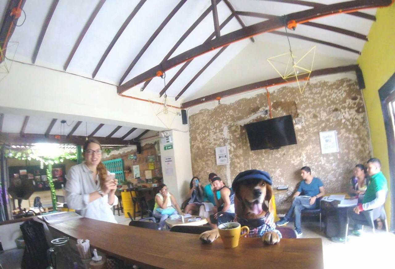 Panela Medellin Exterior photo